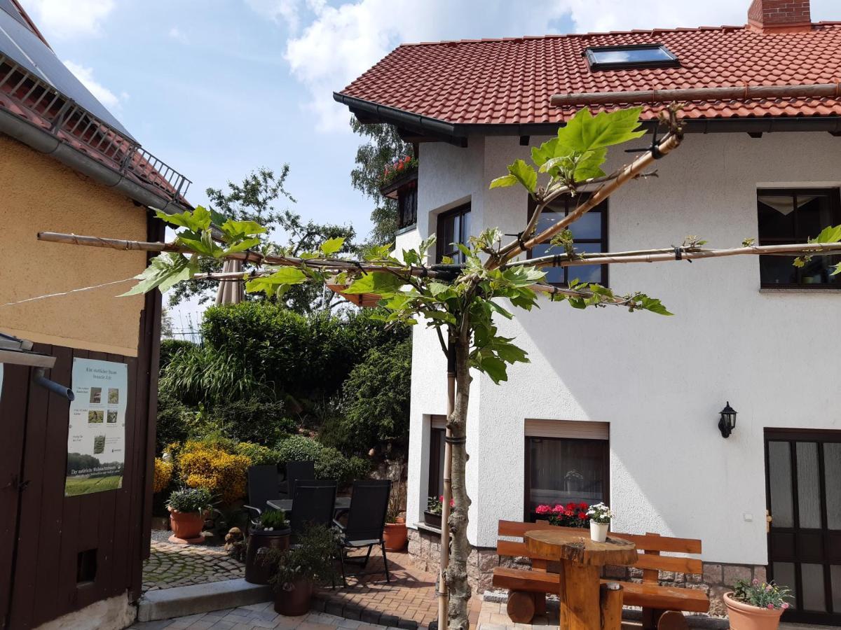 Ferienwohnung Reissmann Heinsdorfergrund Extérieur photo